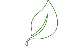 Ícono SOJA